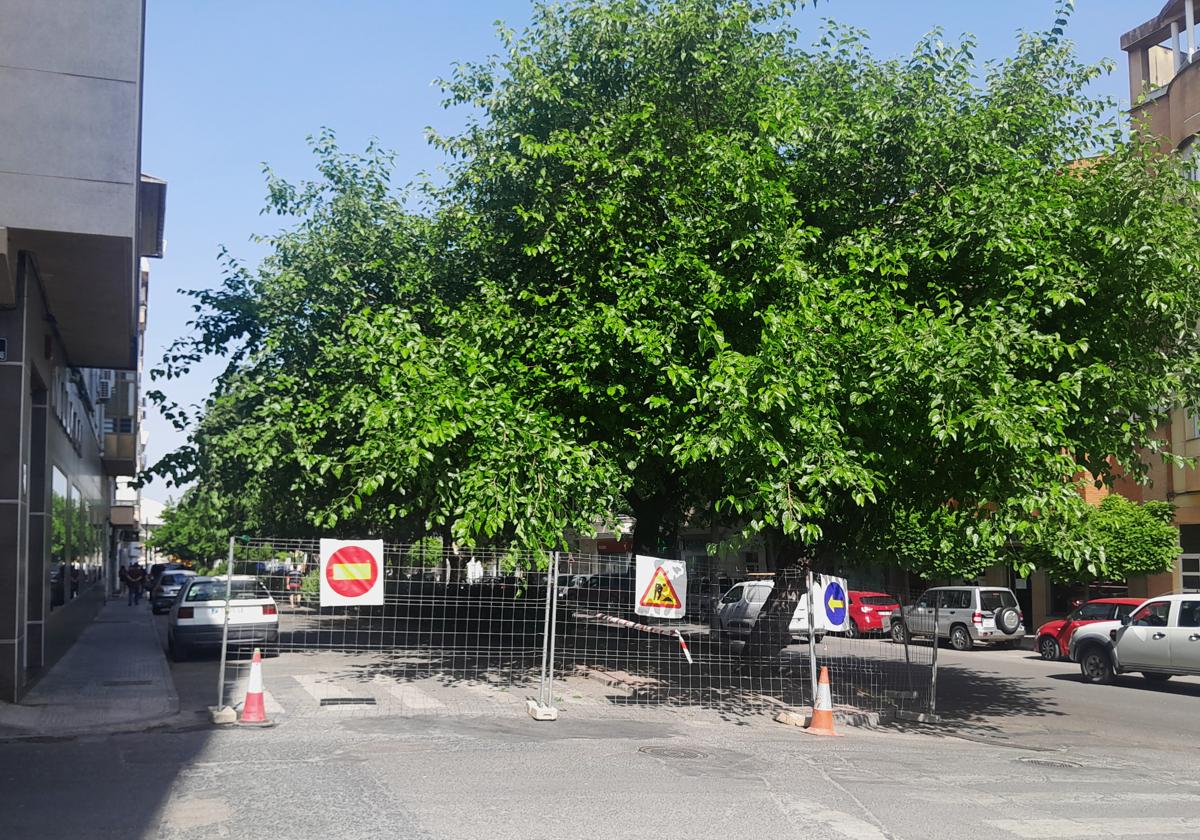 Primeros trabajos en la avenida de las Angustias