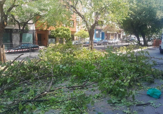 Se reanudan los trabajos para peatonalizar la avenida de las Angustias