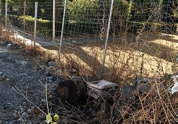 La maleta robada del parque
