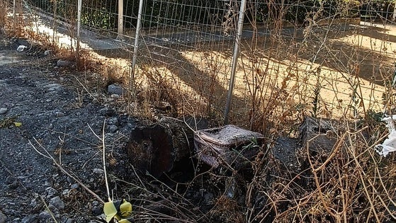 La maleta robada del parque