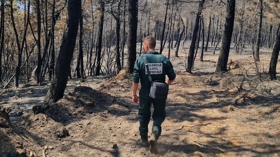 Cuatro detenidos y seis investigados por provocar 17 incendios en la provincia en los últimos meses