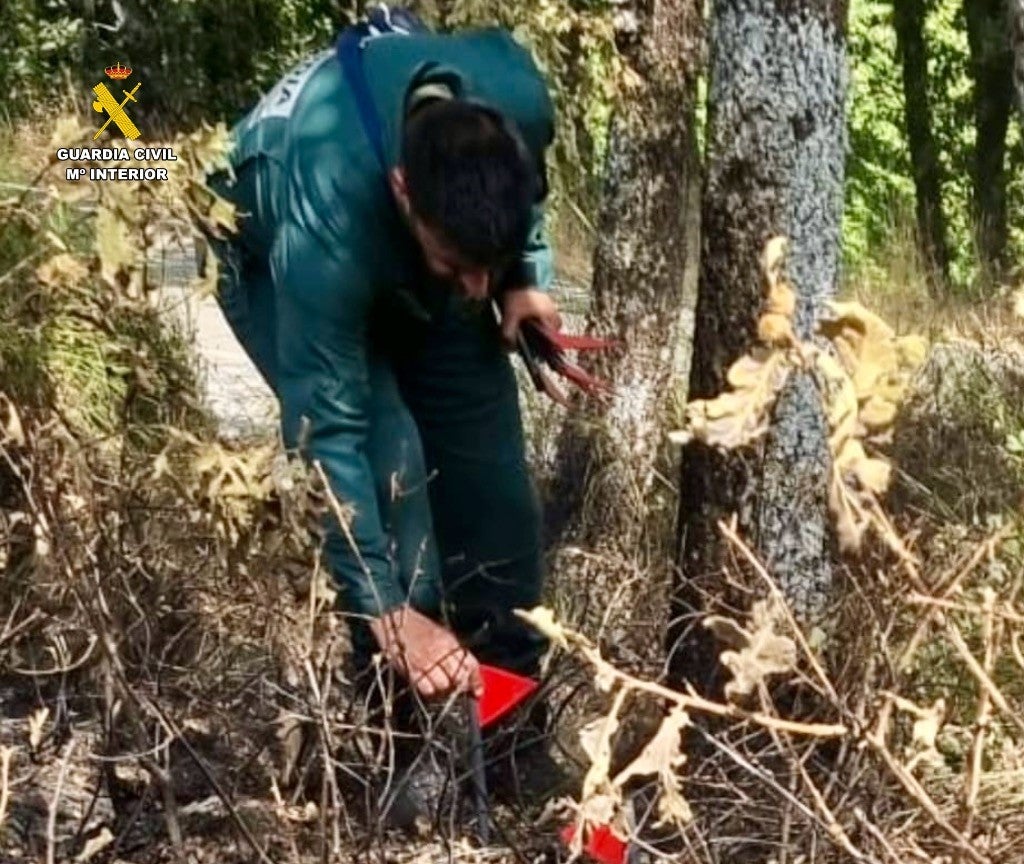 La Guardia Civil en plena investigación