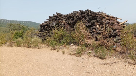 Montones de madera y restos de corta se apilan en el campo desde hace años sin que nadie los retire