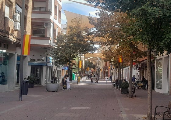 Se ultiman los preparativos de la jura de bandera civil
