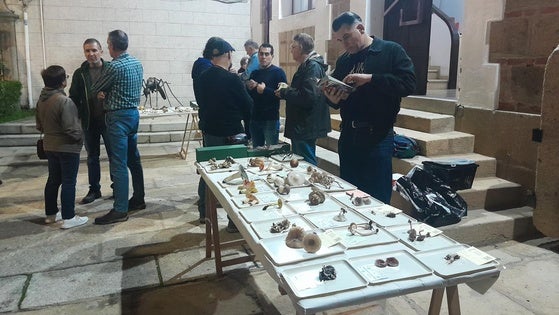 Una exposición en el Jardincillo abrirá las XXVII Jornadas Micológicas