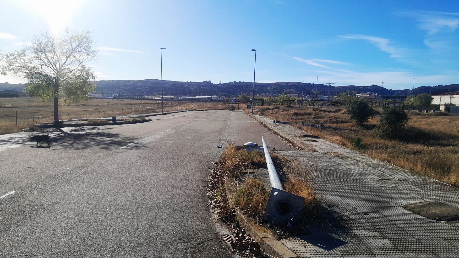 Farolas derribadas para llevarse los cables