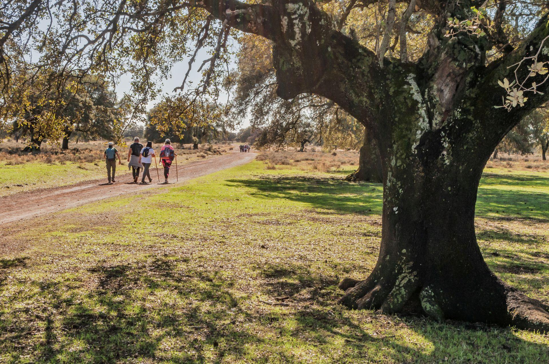 Caminar entreparques