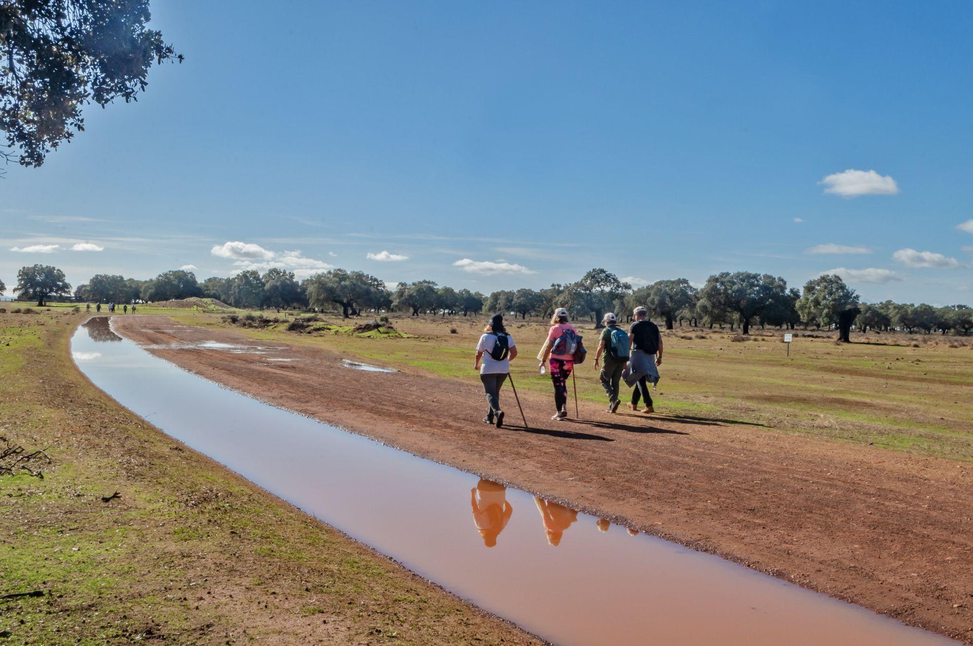 Caminar entreparques