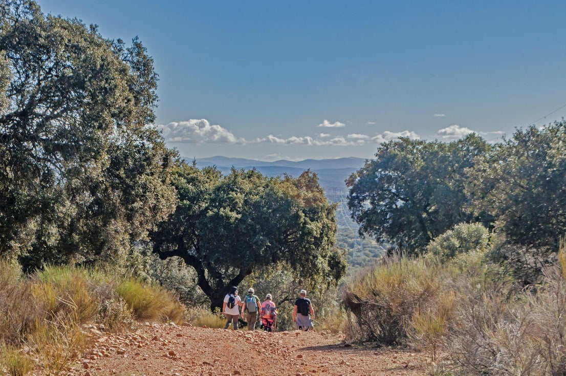 Caminar entreparques