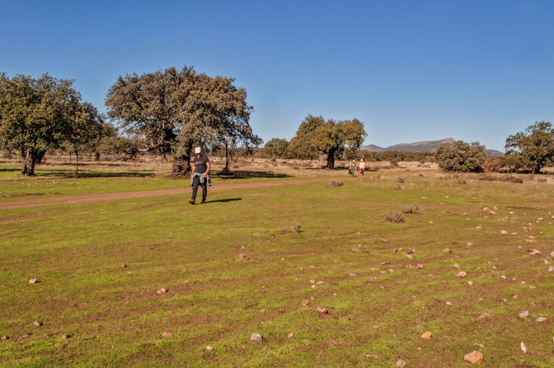 Caminar entreparques
