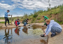 El bateo de pirita es una de las actividades que se realizan habitualmente