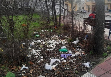 Y esto, ¿cuándo se recoge?