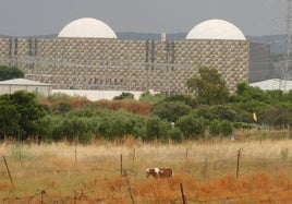 La central nuclear vista desde Almaraz