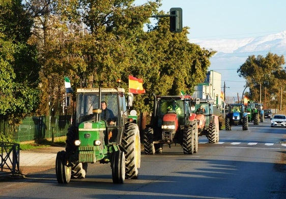 Tractoradas: desorganización y descontento