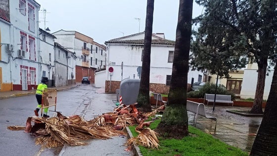 El Ayuntamiento restringe el acceso al parque municipal por motivos de seguridad