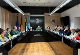 Medio millar de efectivos compondrán el dispositivo de seguridad del Carnaval