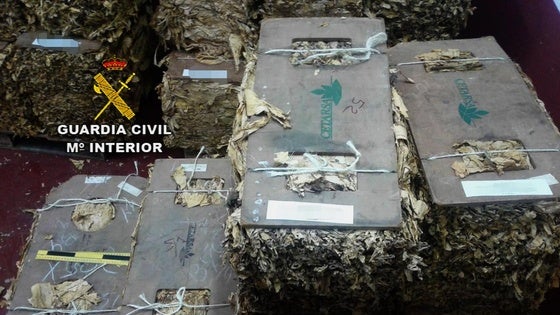 Tres detenidos y cinco investigados en la zona por el robo de hoja de tabaco