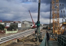 No al Muro celebrará el viernes en La Inmaculada una jornada informativa
