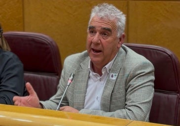 El Círculo Empresarial Moralo lleva al Senado su plan laboral para zonas rurales