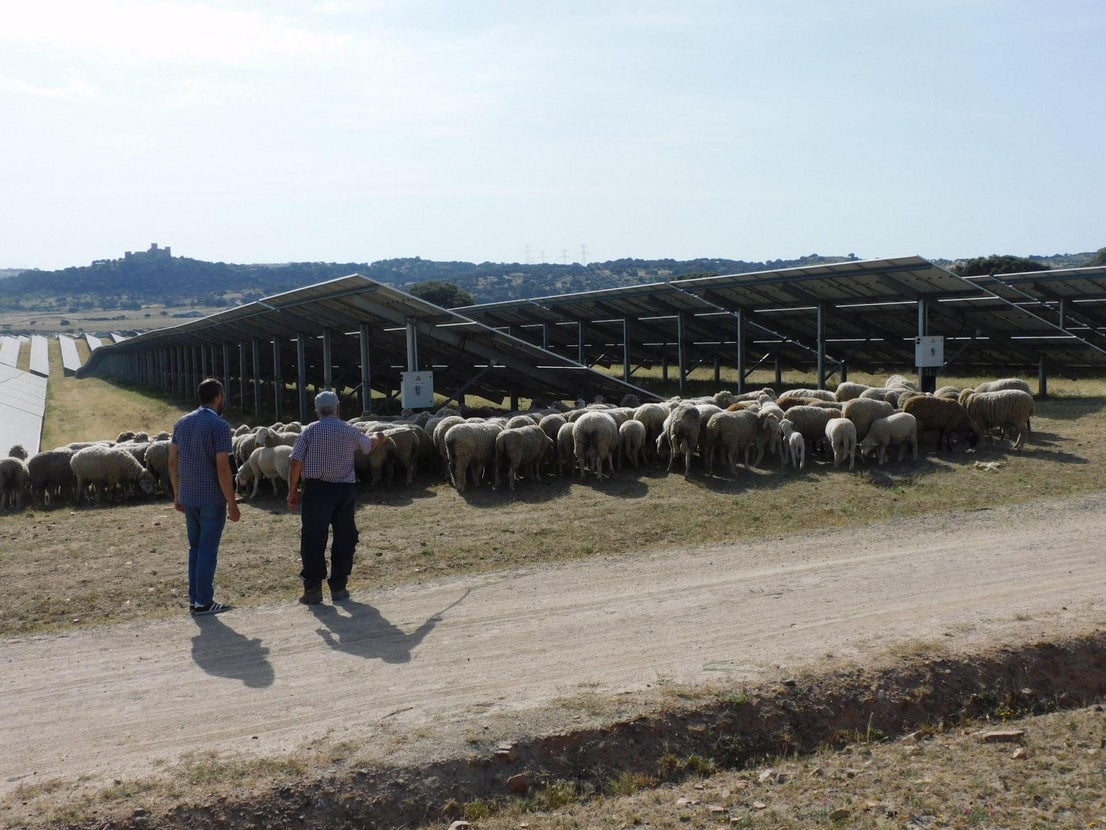 El Campo Arañuelo alberga la mayor batería de almacenamiento de energía de España
