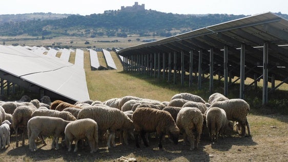 El Campo Arañuelo alberga la mayor batería de almacenamiento de energía de España