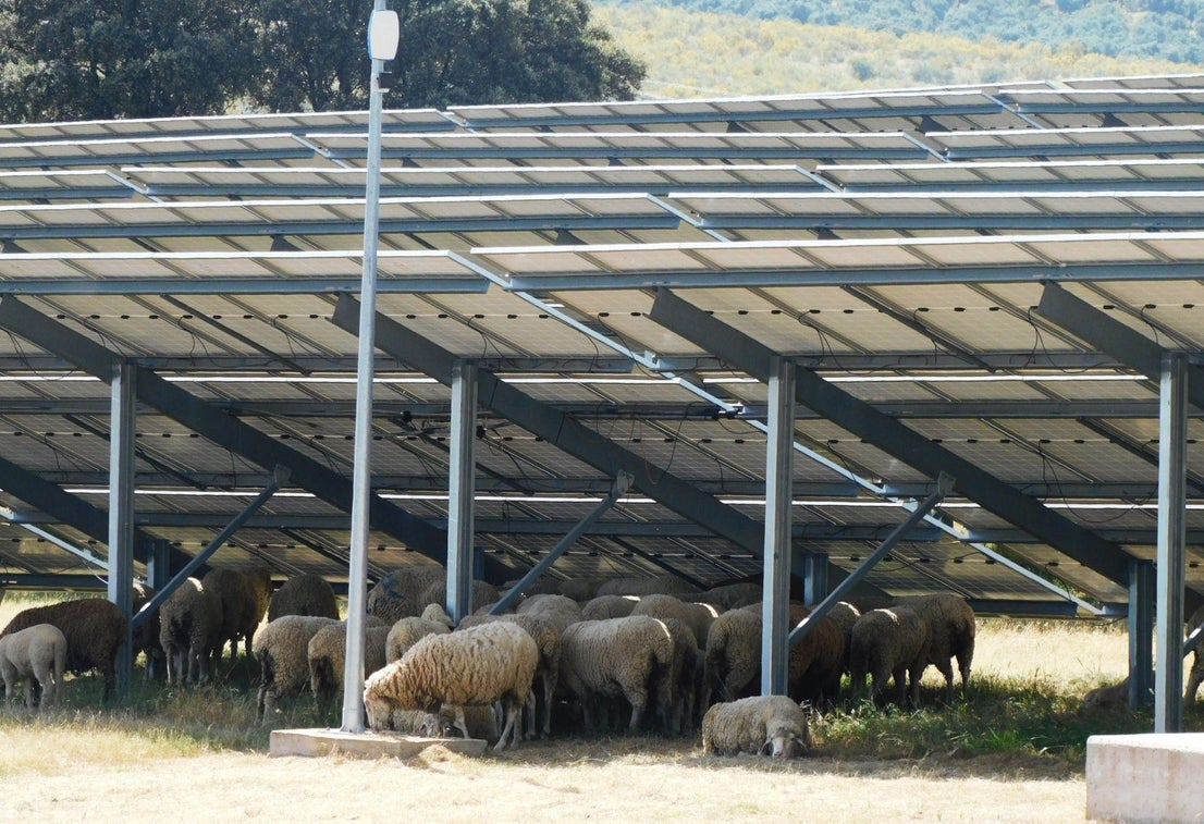 El Campo Arañuelo alberga la mayor batería de almacenamiento de energía de España