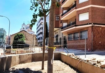 Comienzan los trabajos de repoblación del arbolado en la avenida de las Angustias