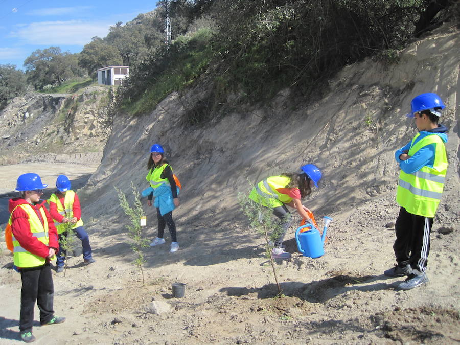 Escolares del colegio Sierra de Gredos en plena plantación 