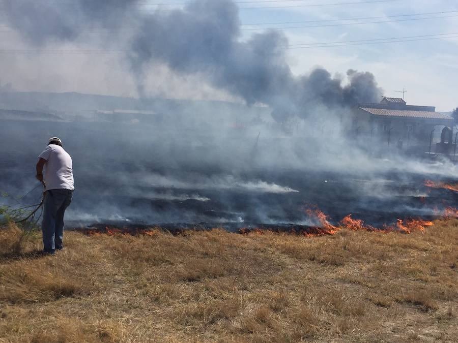 La alcaldesa pide la colaboración ciudadana para evitar incendios forestales en verano