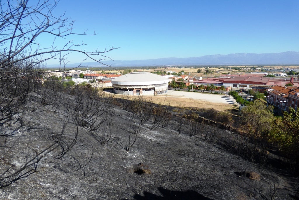 "Se han vivido momentos muy angustiosos esta noche"