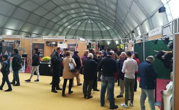 Hoy se cierra el plazo de solicitud de stands para el área expositiva de la Feria del Toro