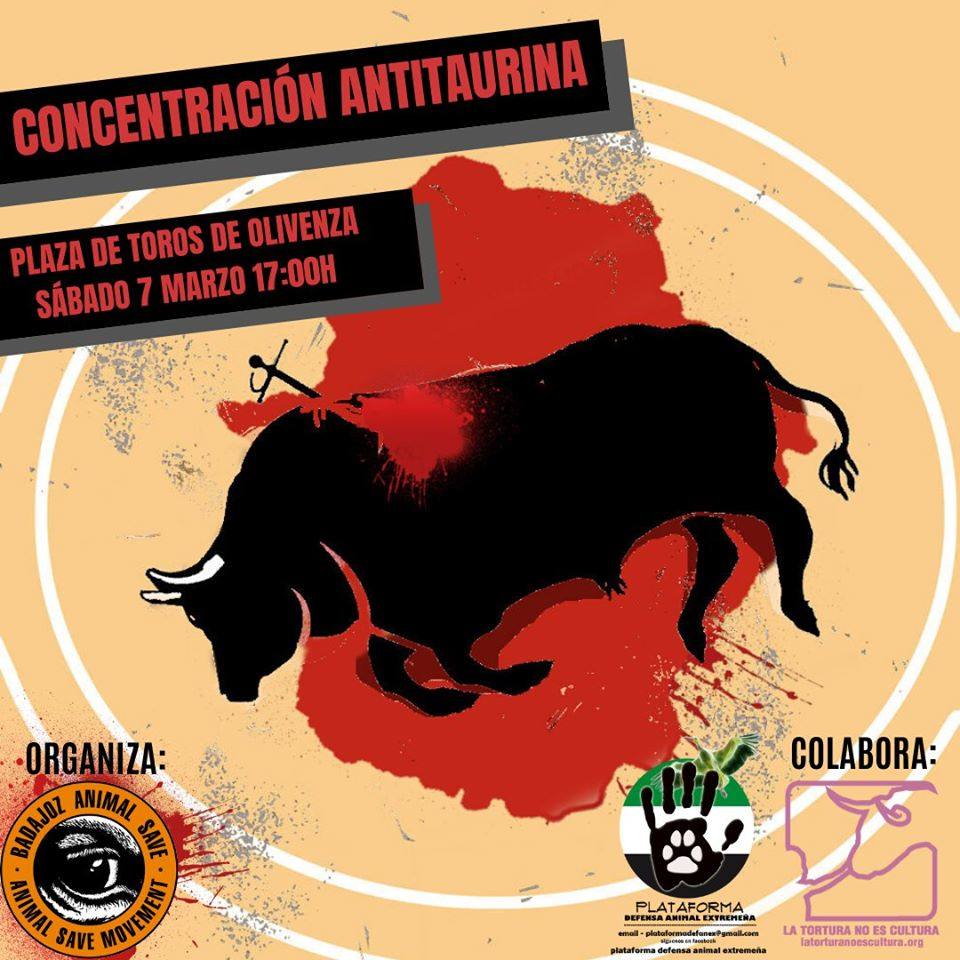 Badajoz Animal Save convoca este sábado una concentración antitaurina en Olivenza