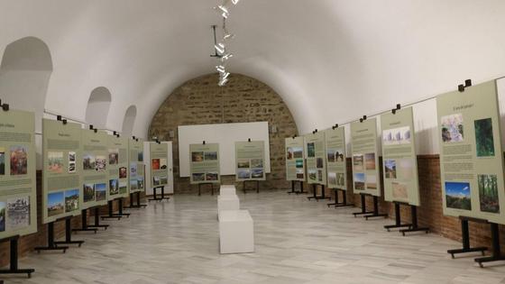 Inaugurada la exposición 'Arte y Territorio. Los paisajes extremeños'