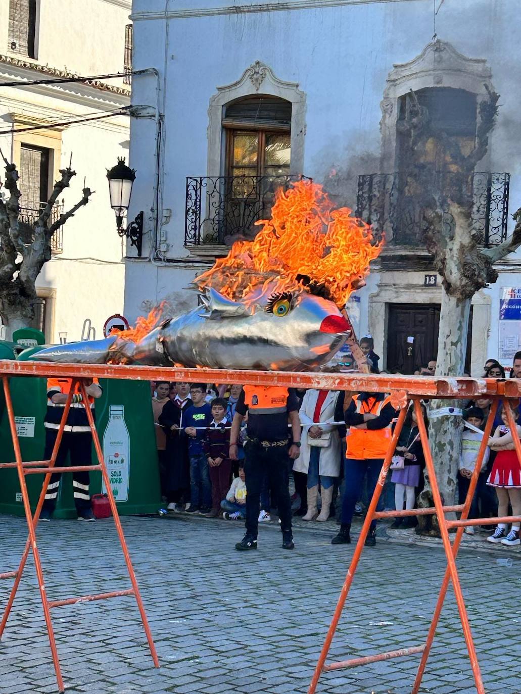 Los carnavaleros inundaron de color, ritmo y alegría las calles de Olivenza