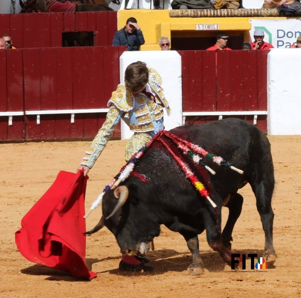 Olivenza volvió a vibrar con los toros a pesar de la lluvia inicial