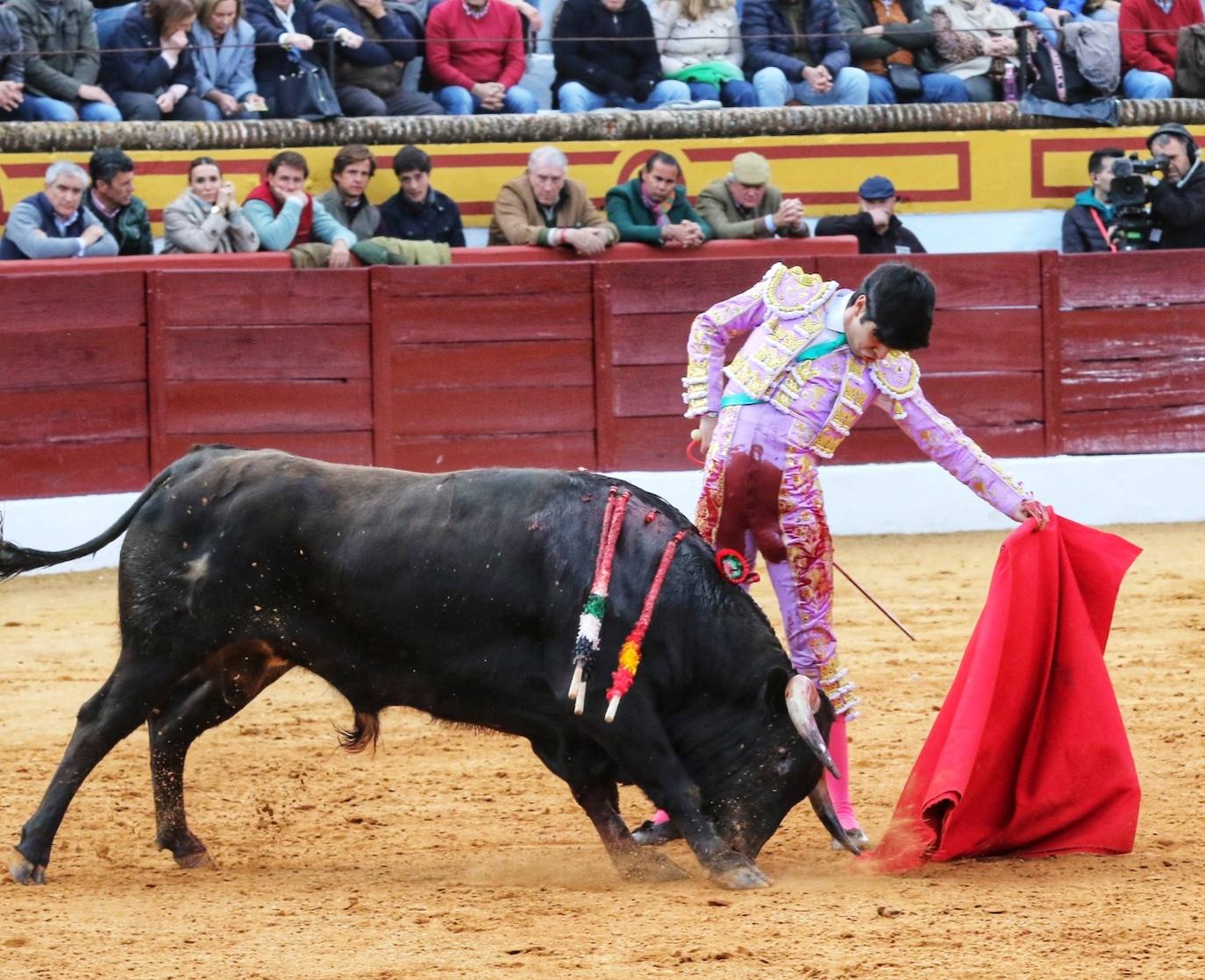 Olivenza volvió a vibrar con los toros a pesar de la lluvia inicial
