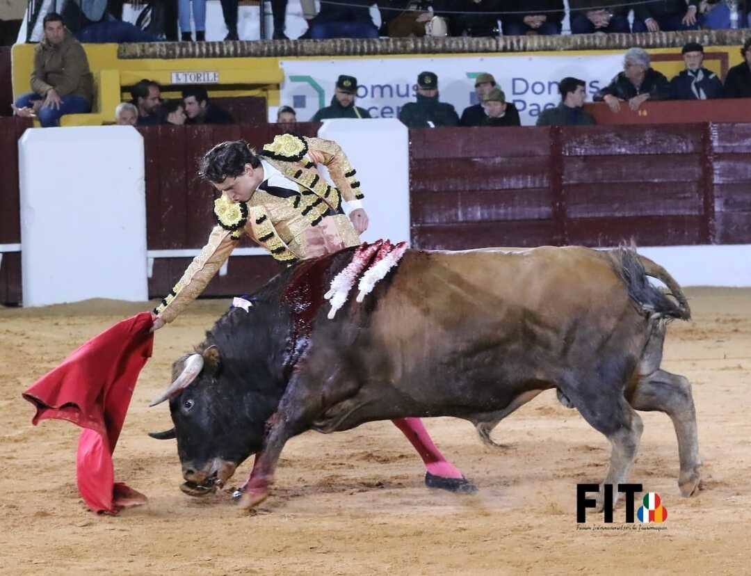 Olivenza volvió a vibrar con los toros a pesar de la lluvia inicial