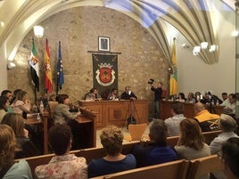 Asistentes al pleno ordinario de abril.