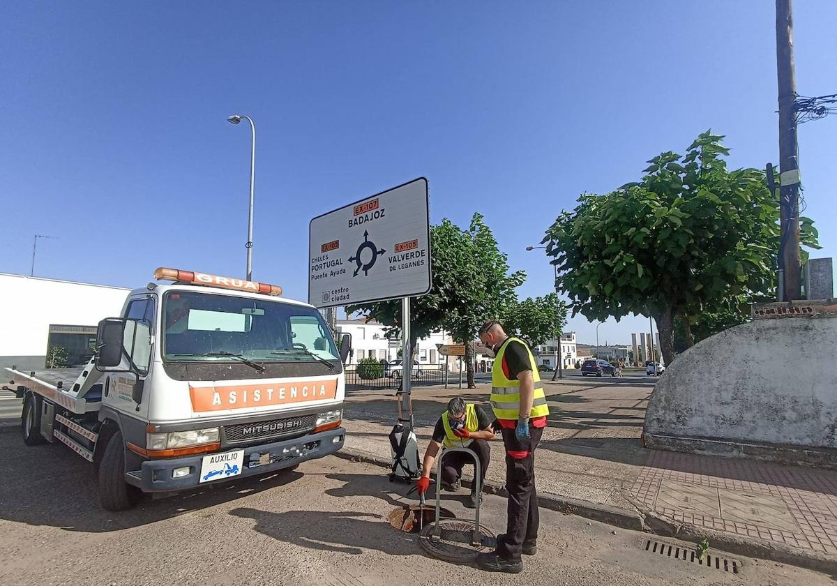 Prosiguen los trabajos de fumigación contra cucarachas y ratas
