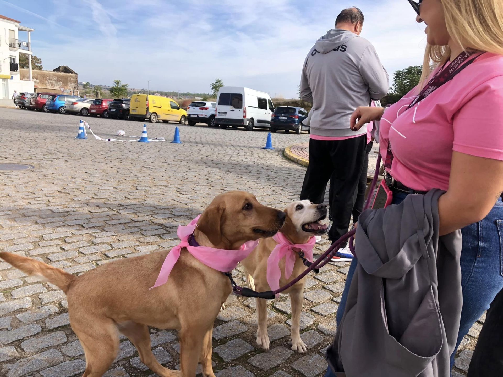 Un año más los ciudadanos se vuelcan con la marcha contra el cáncer de mama