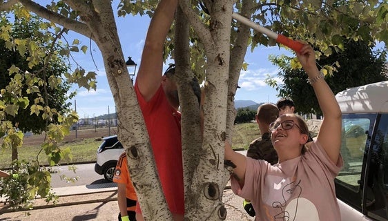 Los alumnos del curso de poda ornamental de árboles comienzan las prácticas