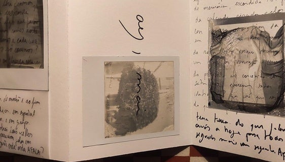 El Museo acoge la presentación del programa de residencias artísticas Plataforma MAL
