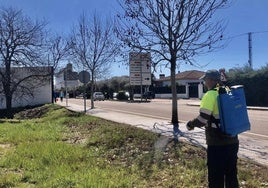 los operarios municipales fumigan en distintas zonas verdes.