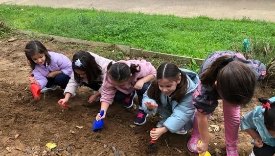 El CEIP Fco Ortiz López impulsa hábitos saludables y sostenibles con su proyecto de huerto escolar ecológico