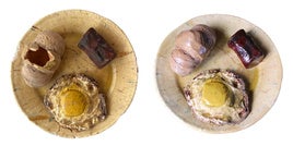 Plato típico de Olivenza recién restaurado.