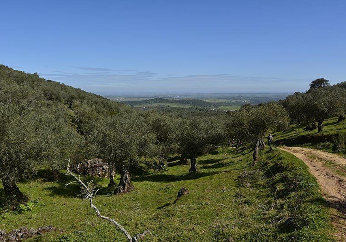 Vista de uno de los senderos que será mejorado.