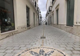 La plataforma única de la calle López de Ayala se realizó con el Aepsa.