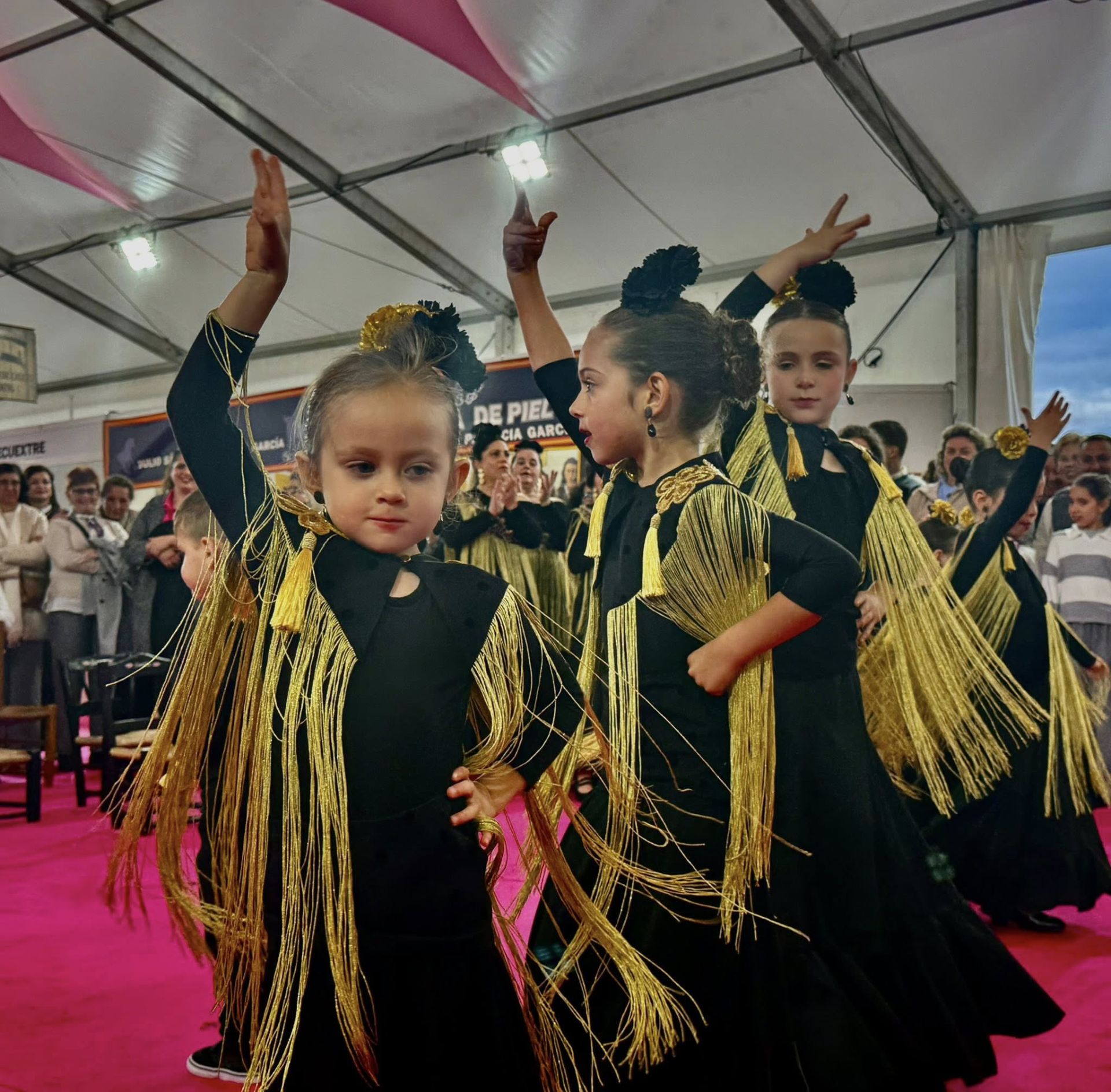 La exhibición del grupo de baile 'Aire Flamenco' encandiló al público