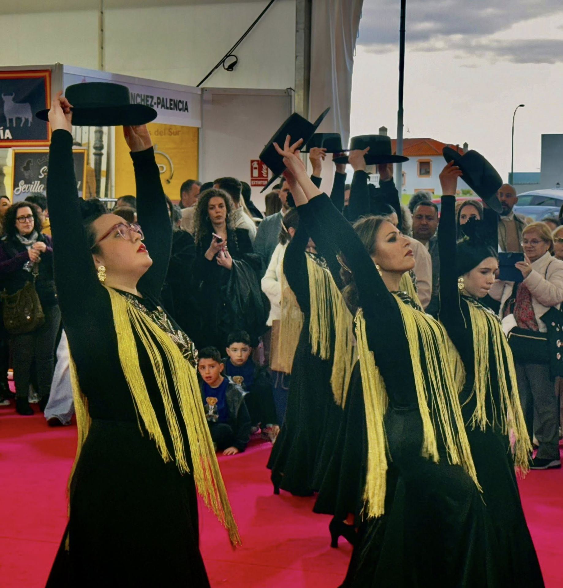La exhibición del grupo de baile 'Aire Flamenco' encandiló al público