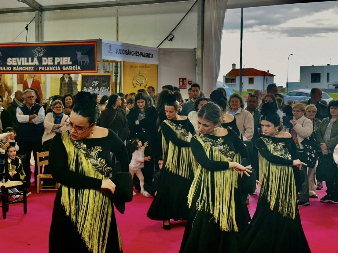 La exhibición del grupo de baile 'Aire Flamenco' encandiló al público